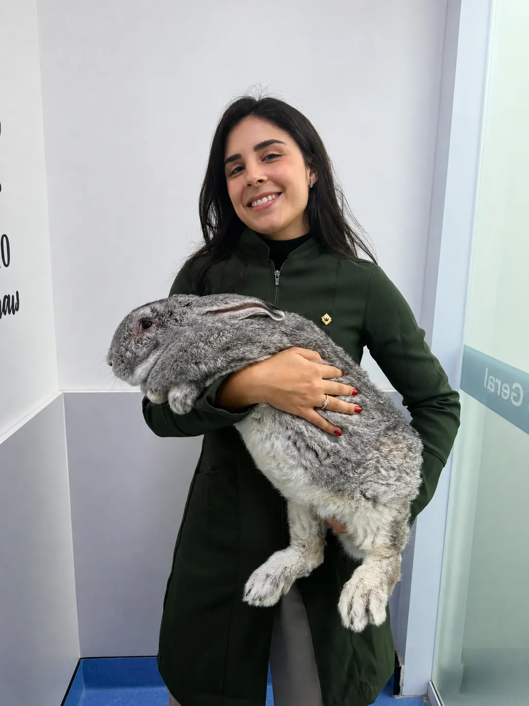 Curso de coelhos