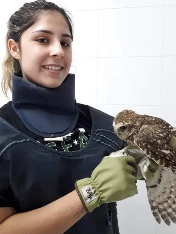 Aves